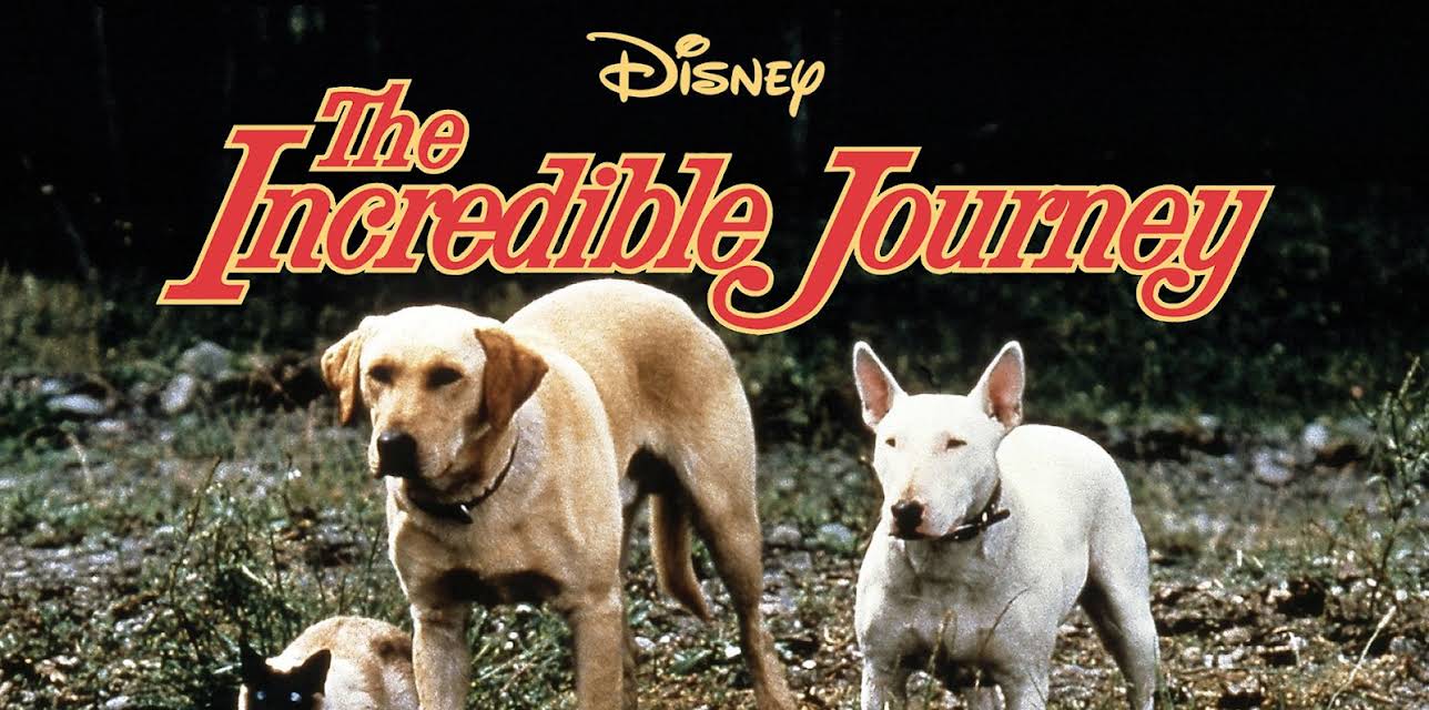 The Incredible Journey (1963) (1963)