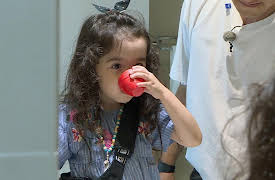 Little Forest: Little Forest