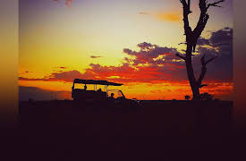 Keeping Up with the Kruger: Life and Death