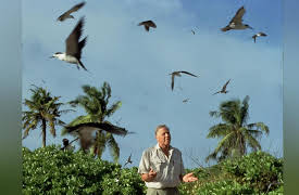 Life of Birds: Finding Partners