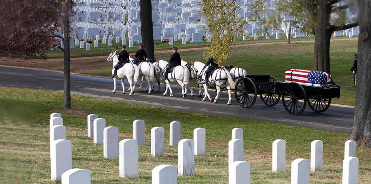 Section 60: Arlington National Cemetery (2008)