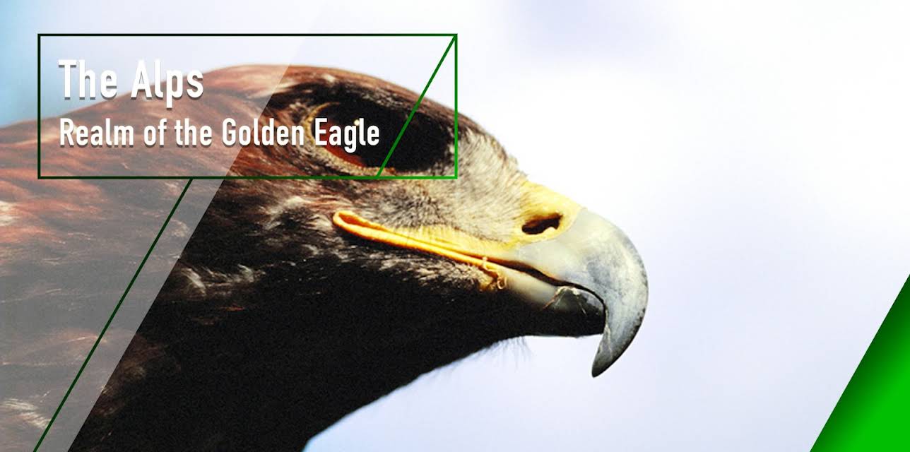 The Alps - Realm of the Golden Eagle (2000)