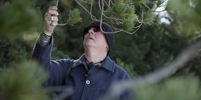 15:20: Die Schweiz – Der Geschmack der Berge (2/2) | 3SAT | 12/21 2025