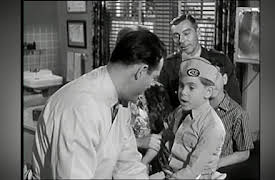 The Donna Reed Show: Boys Will Be Boys