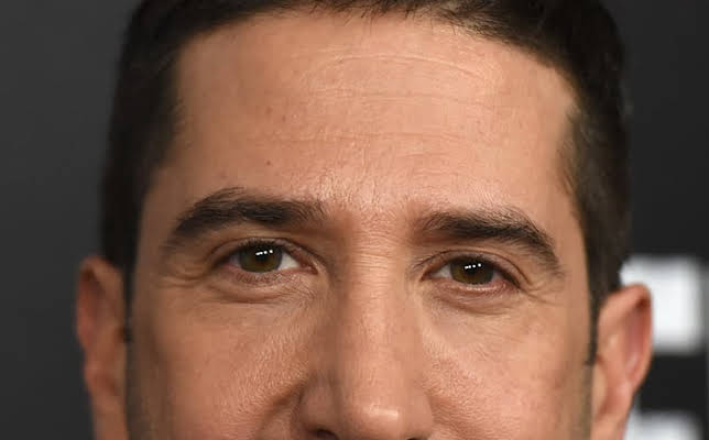 David Schwimmer