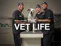 The Vet Life
