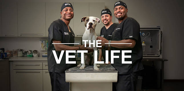 02:00: The Vet Life (S4 E7) (S4) | Animal Planet | 8/19 2025