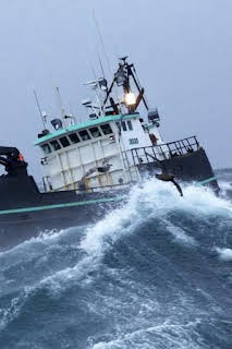 09:00: Pesca radical: Golpes demoledores | Discovery | 9/6 2026