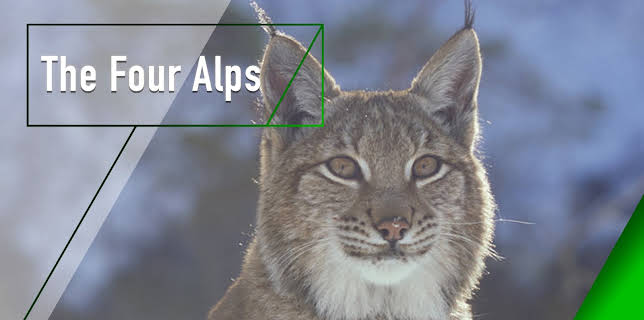 The Four Alps (2007)