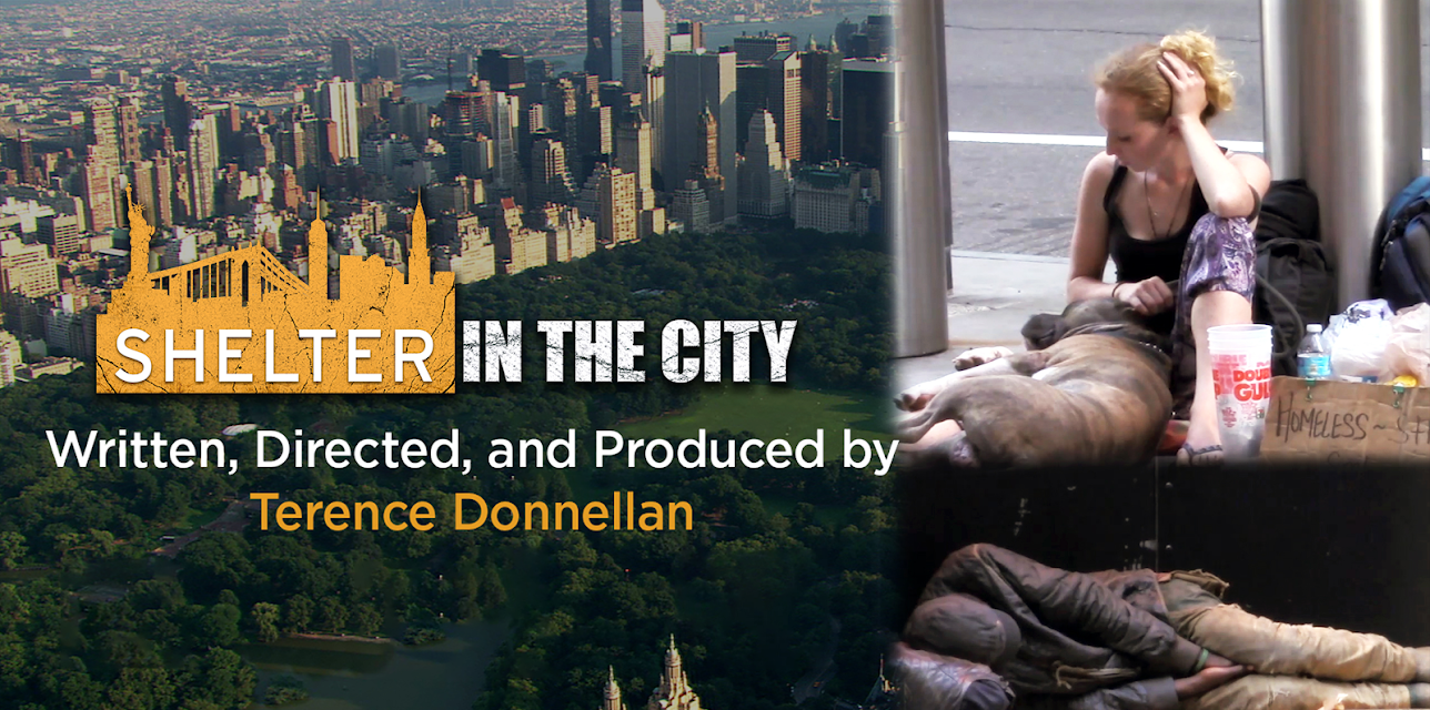 Shelter In The City (2017)