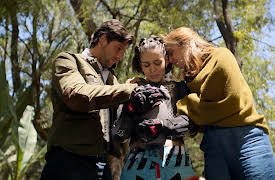 Misfortune: The Ranch