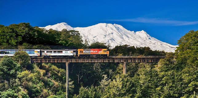 8:05 PM: New Zealand by Train | Channel 4 | 11/22 2025