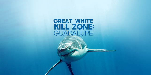 Great White Kill Zone: Guadalupe (2019)