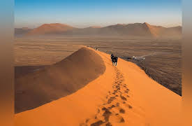 The Great Tours: African Safari: Desert Safaris