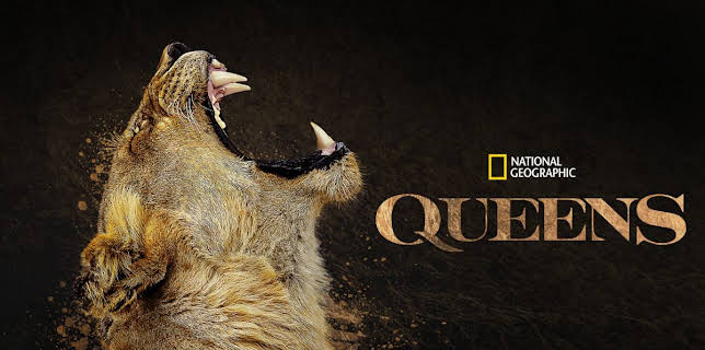 07:25: Queens (S1 E2) (S1) | National Geographic Wild | 11/24 2025