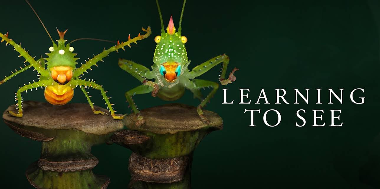 Learning to See (2016)