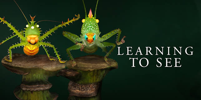 Learning to See (2016)