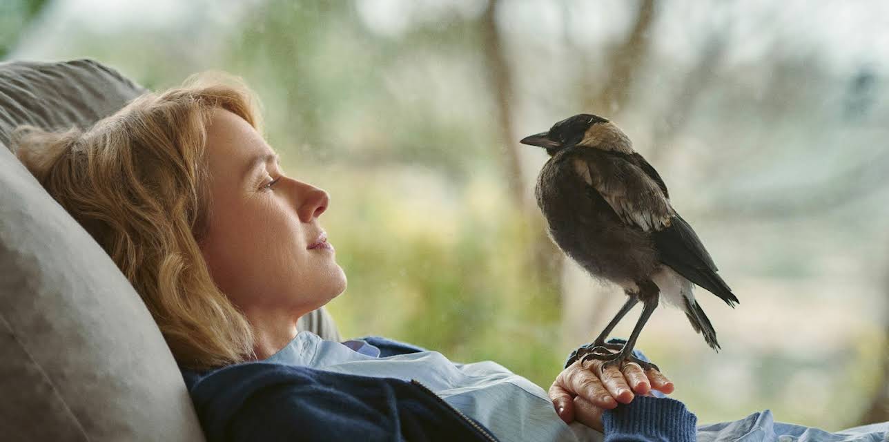 Penguin Bloom (2021)