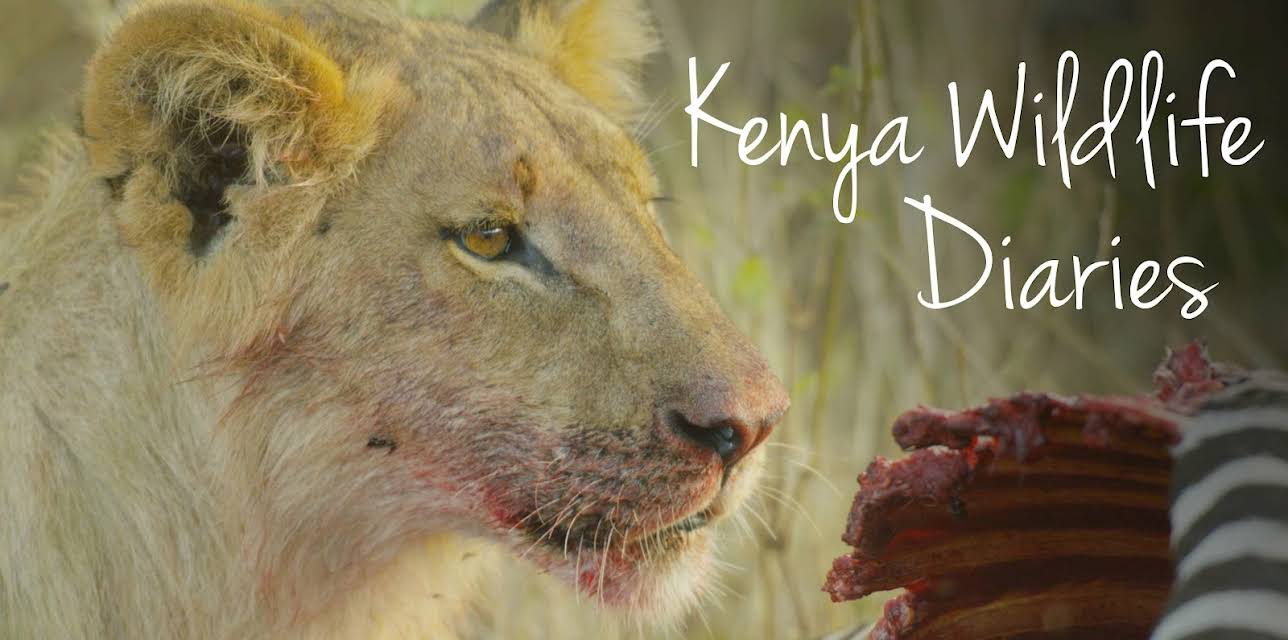 Kenya Wildlife Diaries