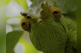 Africa's Wild Year, Season 1: Africa's Wild Year: Autumn