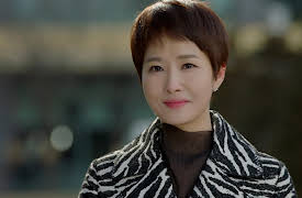 The Lady in Dignity: The Lady in Dignity Episode 14