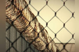 Finally Caught S1: Hlayka