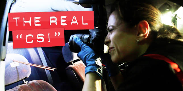 The Real CSI (2012)