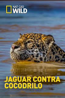 00:35: Jaguar contra cocodrilo | Nat Geo Wild | 3/13 2026