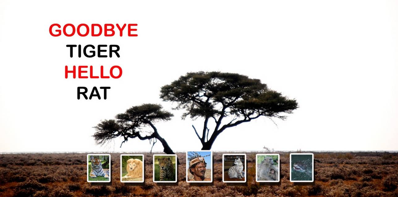 Goodbye Tiger Hello Rat (2020)