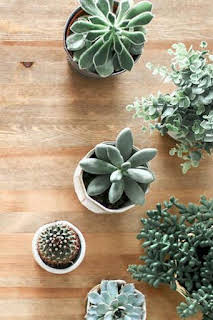 03:30: Yo vivo en: Una casa cueva | Telemadrid | 1/31 2026