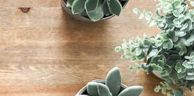 08:30: Aqui vivo yo | Castilla la Mancha TV | 1/17 2026