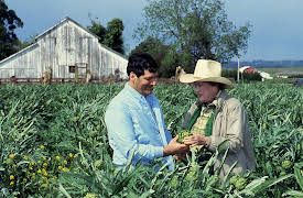 Dinner at Julia's: Designer Duck