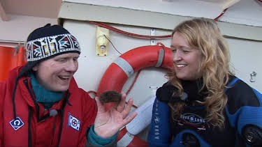 06:05: Ugler i mosen: Fisketur | NRK Super | 5/17 2026