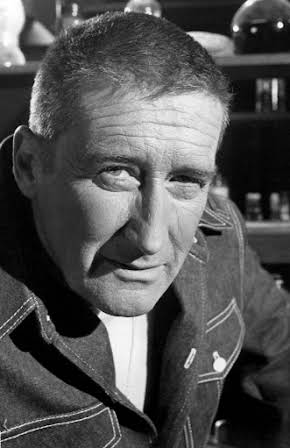 Mickey Spillane as 