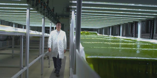 07:50: Planet Schule: Kühlung für die Erde - CO2 in Algen speichern | WDR Fernsehen | 11/10 2025