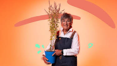10:45 AM: What’s in Your Plant Pot? (S1) | Cbeebies | 6/11 2026