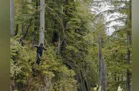 Ultimate Ninja Challenge Season 1: Dig Deep to Survive