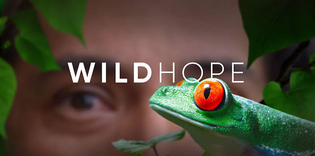 Wild Hope, Season 1