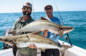 The Captain's Log With Capt. Jonathan Moss, Season 2: Offshore Obsession