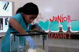 Junior Vets: No Room For Phobias