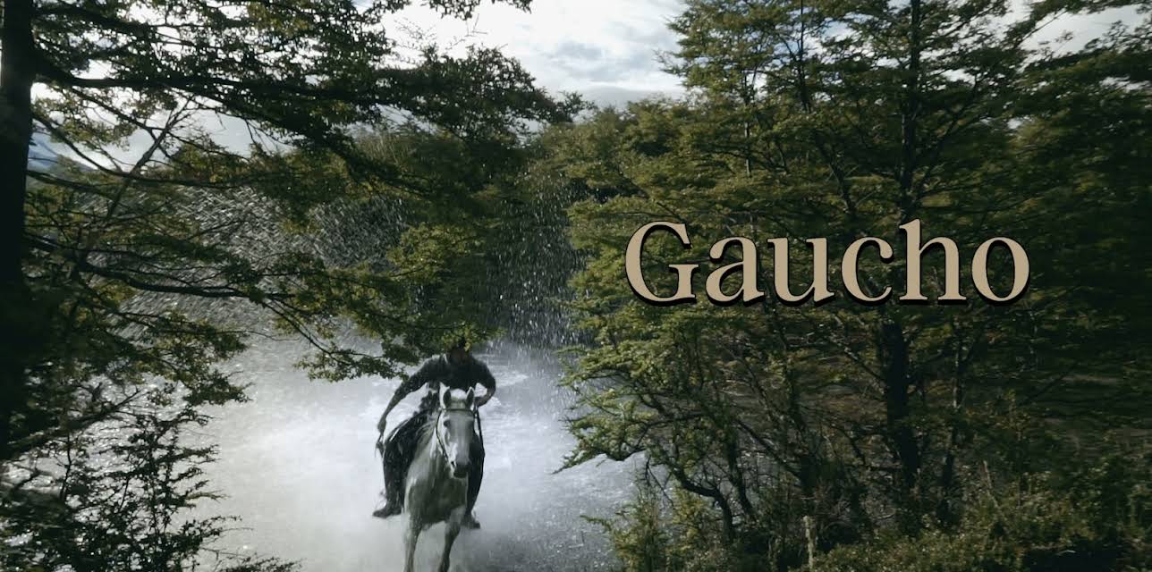 Gaucho (2018)