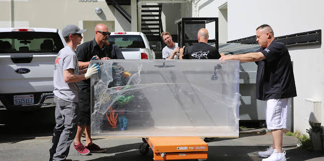 09:25: Akvariedesignerne (S8 E7) (S8) | Animal Planet | 12/5 2025