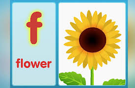Phonics Fun: The F Song (Lowercase)