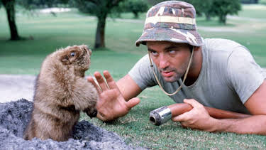 9:35 PM: Caddyshack | Sky Greats | 6/13 2026