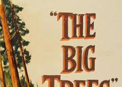 Los gigantes del bosque