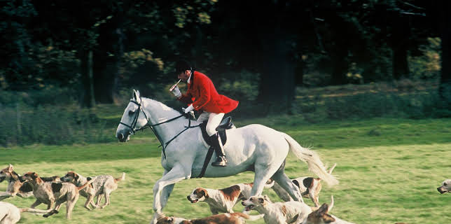 19:30: Mord og mysterier (S3 E1) (S3) | VOX | 11/20 2025