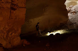 NOVA Wonders Season 1: What Are Animals Saying?