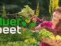 Querbeet