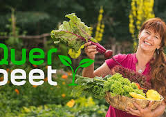 Querbeet