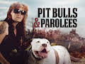 Pit Bulls & Parolees